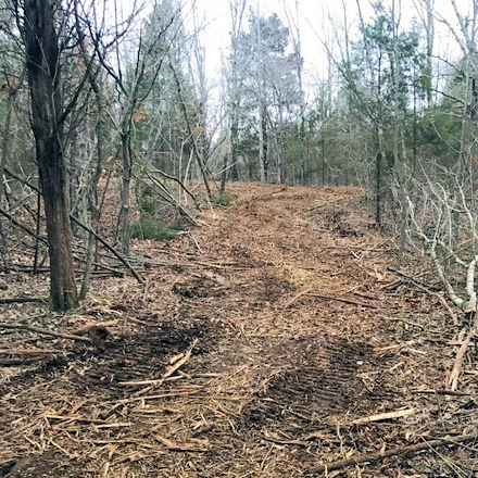 Learn about TBT Whitetail services